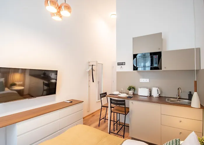 Apartment Cheerful In Center *